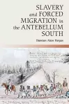 Slavery and Forced Migration in the Antebellum South cover