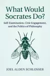 What Would Socrates Do? cover