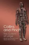 The Golem at Large cover