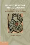 Making Sense of Public Opinion cover