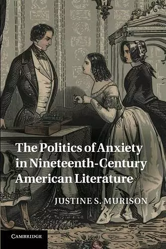 The Politics of Anxiety in Nineteenth-Century American Literature cover