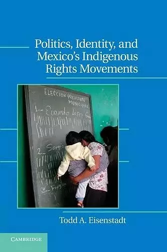 Politics, Identity, and Mexico’s Indigenous Rights Movements cover