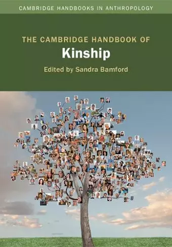 The Cambridge Handbook of Kinship cover