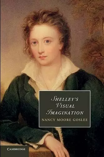 Shelley's Visual Imagination cover