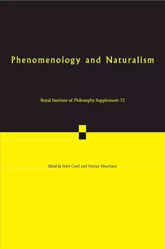 Phenomenology and Naturalism cover