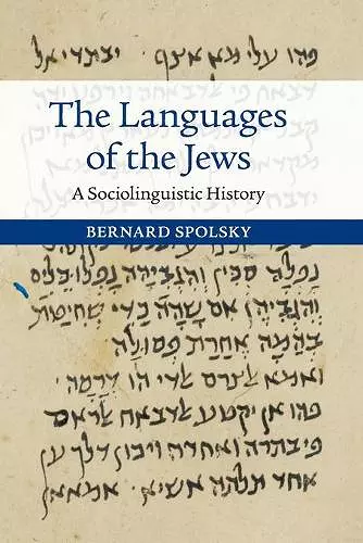 The Languages of the Jews cover