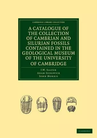 A Catalogue of the Collection of Cambrian and Silurian Fossils Contained in the Geological Museum of the University of Cambridge cover