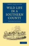 Wild Life in a Southern County cover