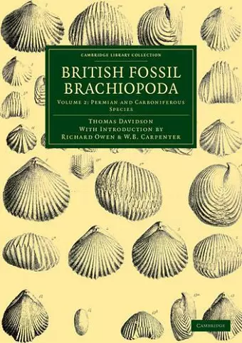 British Fossil Brachiopoda cover