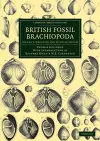 British Fossil Brachiopoda cover