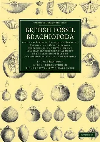 British Fossil Brachiopoda cover