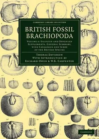 British Fossil Brachiopoda cover