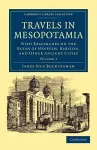 Travels in Mesopotamia cover