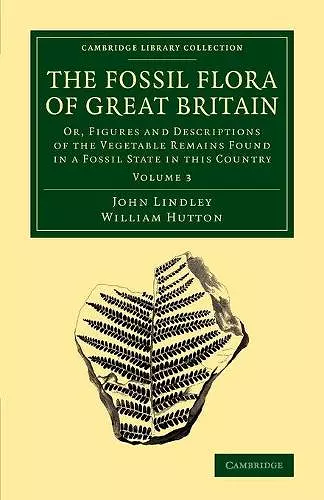 The Fossil Flora of Great Britain cover