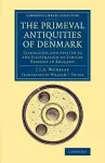 The Primeval Antiquities of Denmark cover