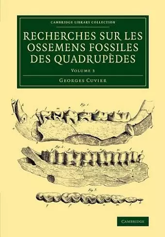 Recherches sur les ossemens fossiles des quadrupèdes cover