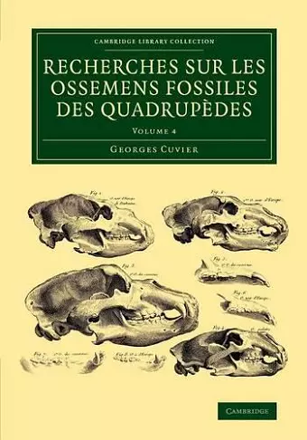 Recherches sur les ossemens fossiles des quadrupèdes cover