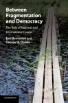 Between Fragmentation and Democracy cover