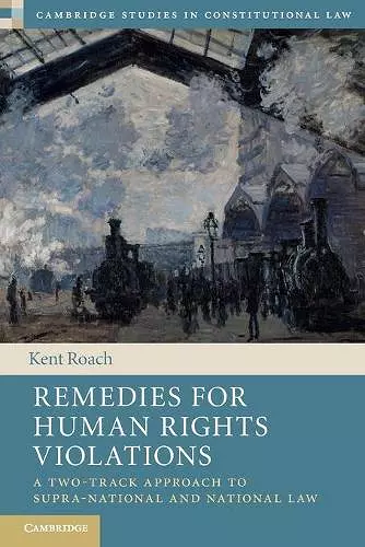 Remedies for Human Rights Violations cover