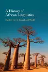 A History of African Linguistics cover
