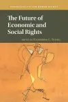 The Future of Economic and Social Rights cover