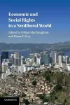 Economic and Social Rights in a Neoliberal World cover