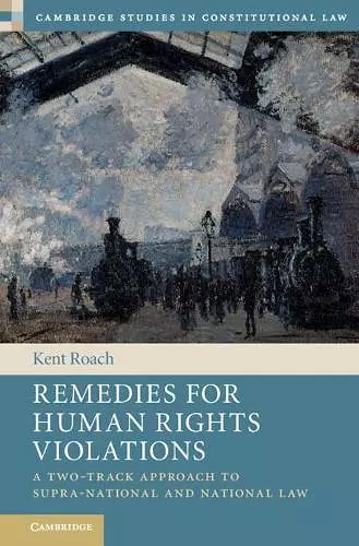 Remedies for Human Rights Violations cover