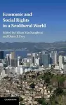 Economic and Social Rights in a Neoliberal World cover