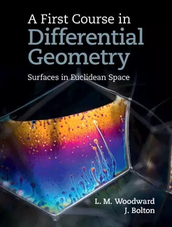 A First Course in Differential Geometry cover