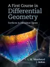 A First Course in Differential Geometry cover