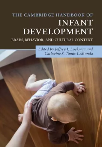 The Cambridge Handbook of Infant Development cover