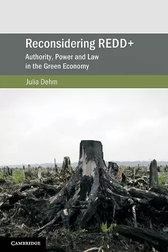 Reconsidering REDD+ cover