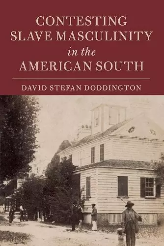 Contesting Slave Masculinity in the American South cover