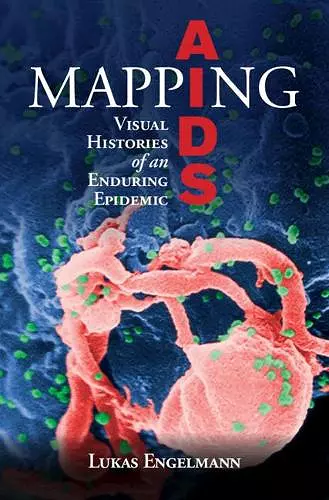 Mapping AIDS cover