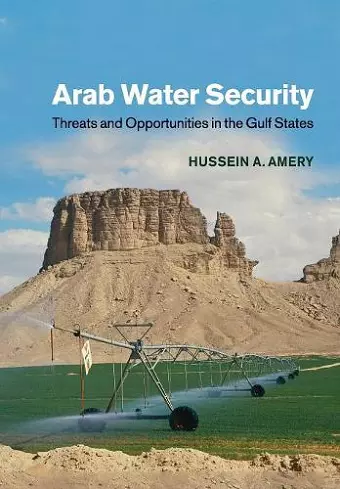 Arab Water Security cover