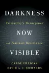 Darkness Now Visible cover