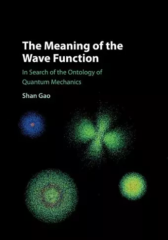 The Meaning of the Wave Function cover