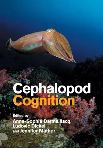 Cephalopod Cognition cover