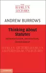 Thinking about Statutes cover