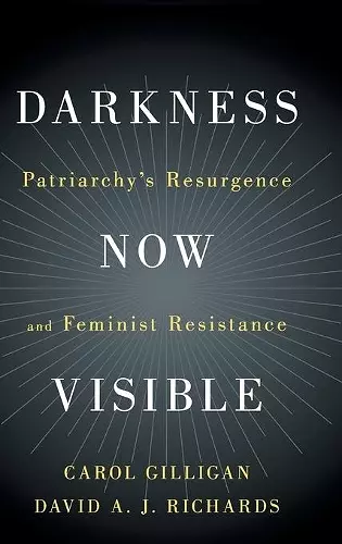 Darkness Now Visible cover