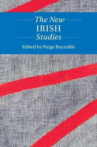 The New Irish Studies cover