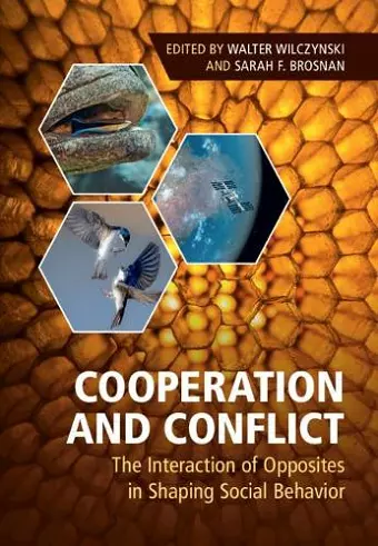 Cooperation and Conflict cover