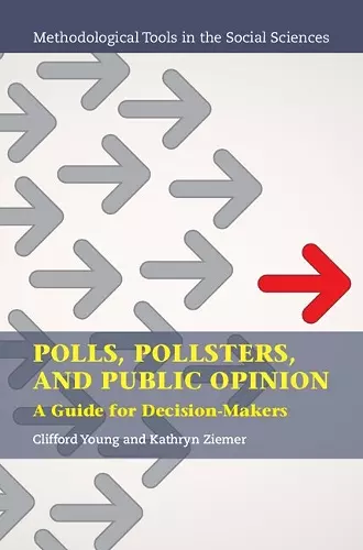 Polls, Pollsters, and Public Opinion cover