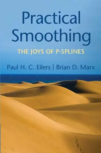 Practical Smoothing cover