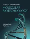 Practical Techniques in Molecular Biotechnology cover