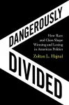 Dangerously Divided cover