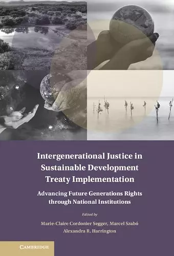 Intergenerational Justice in Sustainable Development Treaty Implementation cover