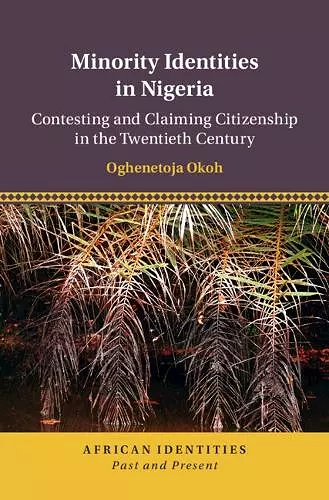 Minority Identities in Nigeria cover