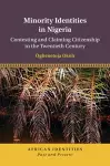Minority Identities in Nigeria cover