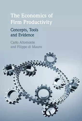 The Economics of Firm Productivity cover